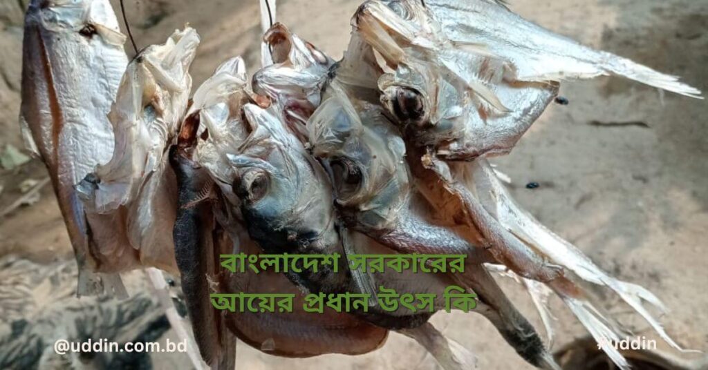 ই-কমার্স ব্যবসা